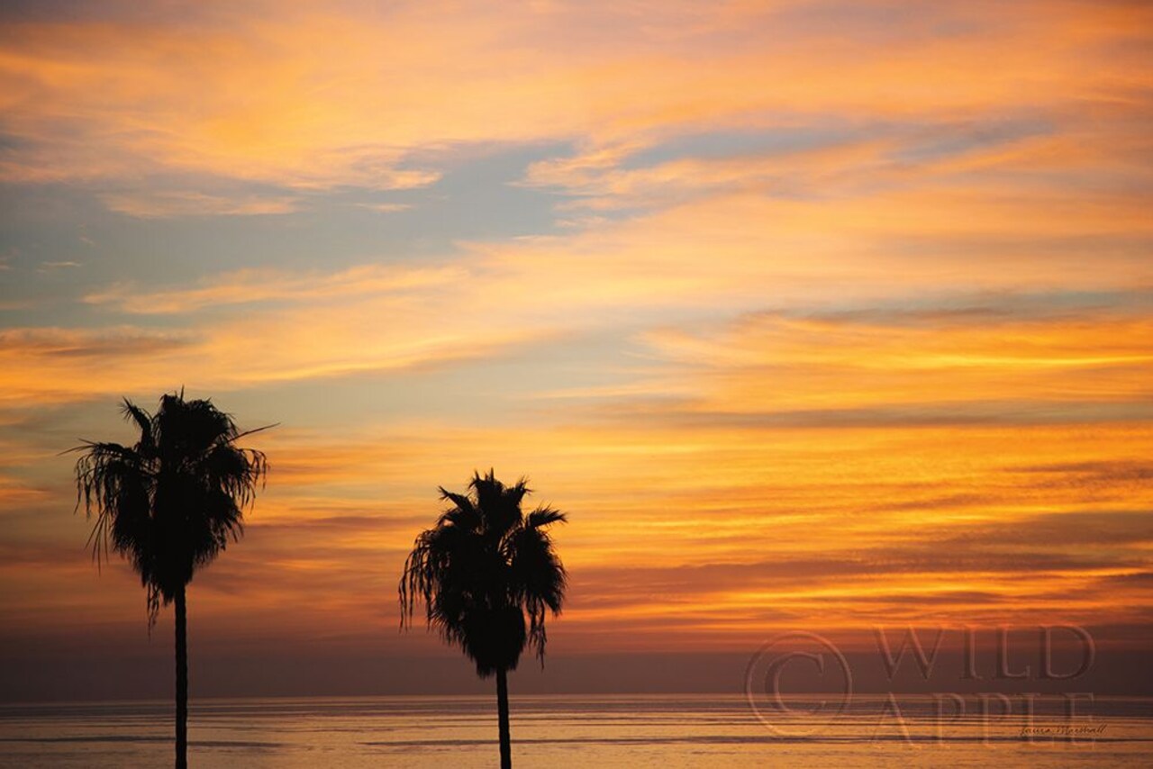 Sunset Palms III Poster Print by Laura Marshall - Item # VARPDX42853